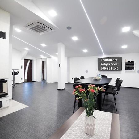 Apartament Iwona Kobyla Góra 外观 照片