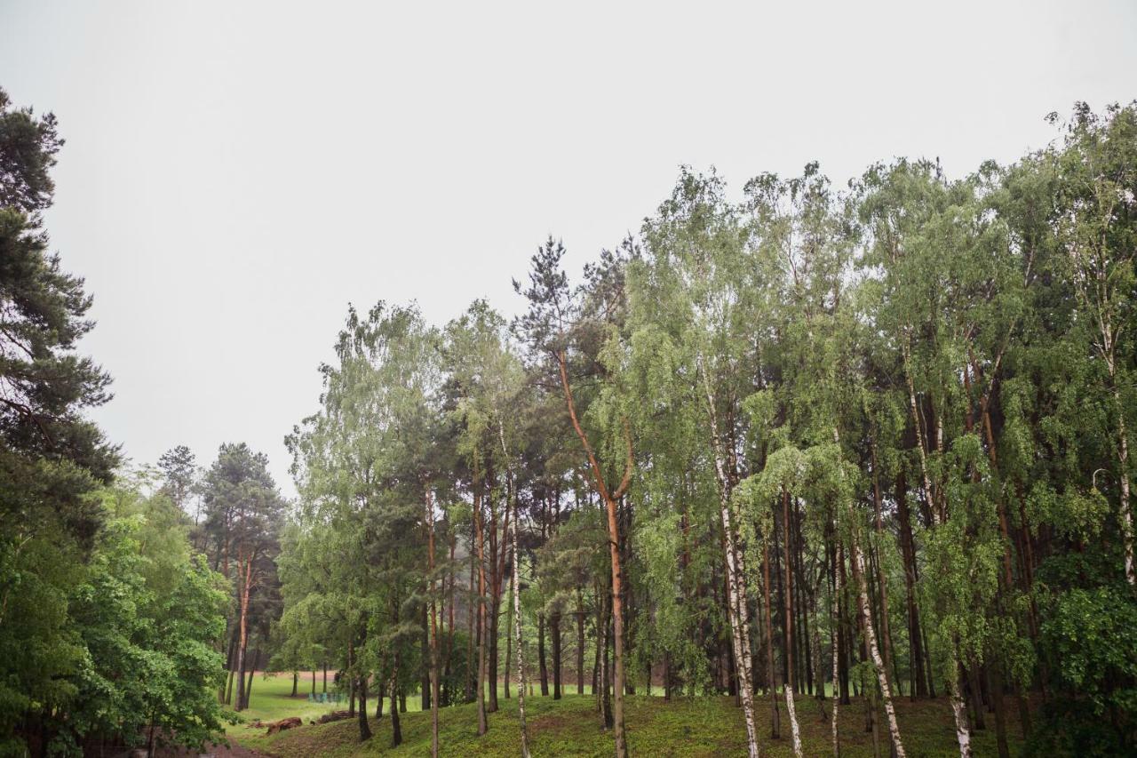 Apartament Iwona Kobyla Góra 外观 照片